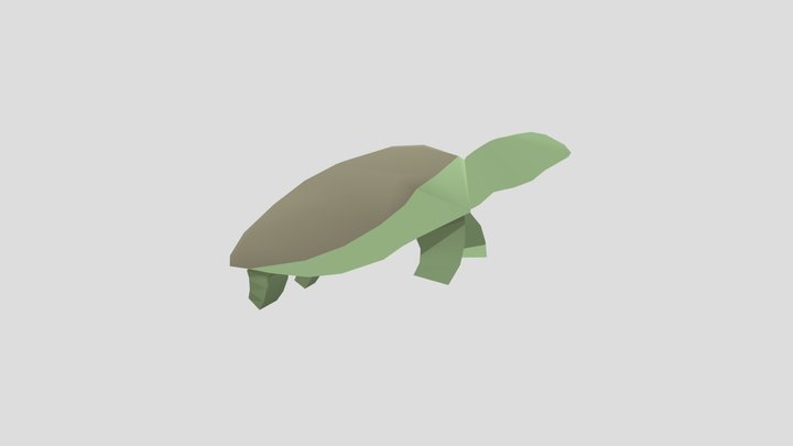 turtle 3D Model