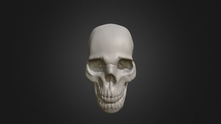 Skull Sculpture (Study) 3D Model
