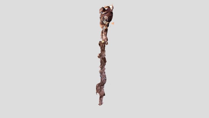 ensemble de la fouille 07/2022 3D Model
