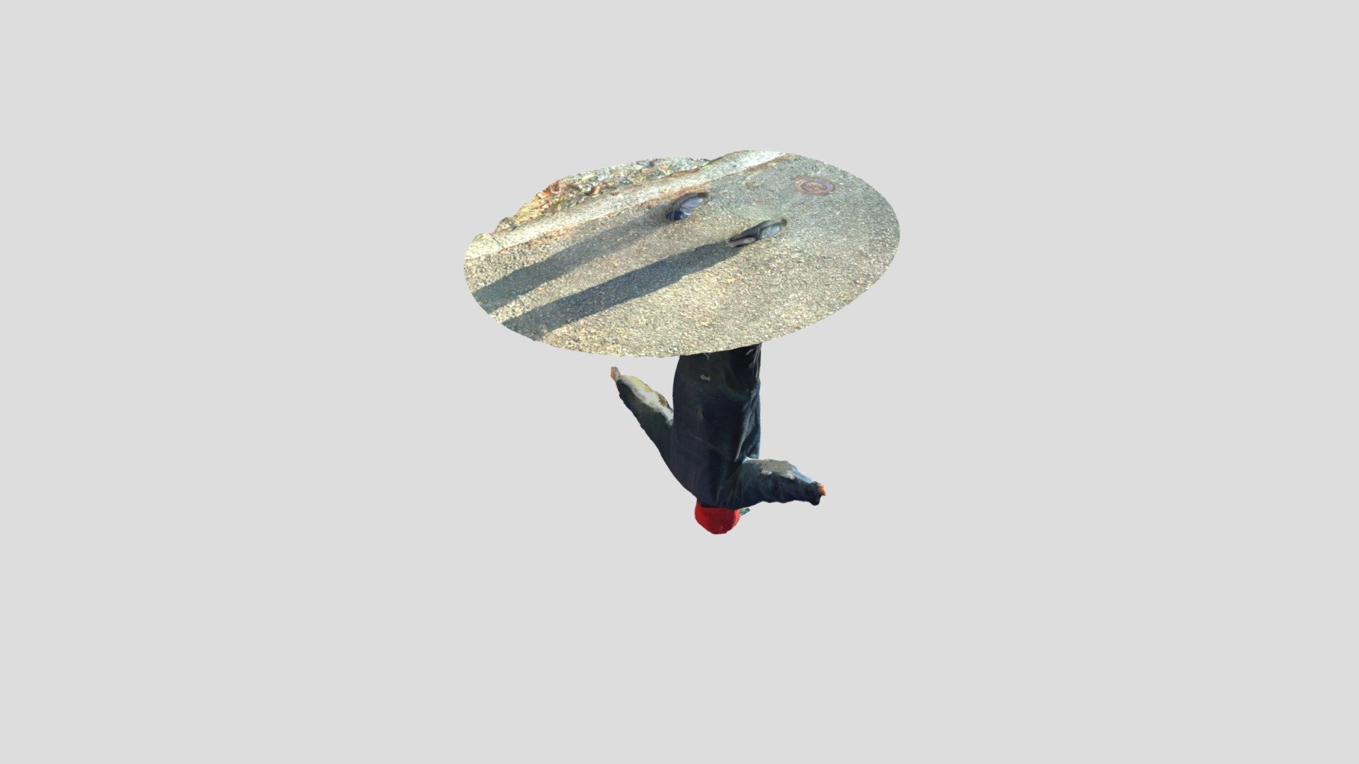 negi foto