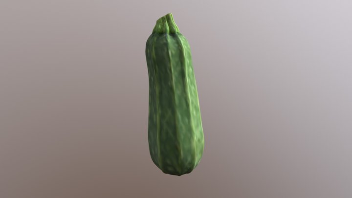 Zucchini 3D Model