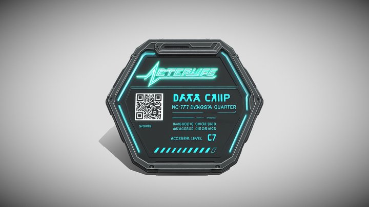afterlife data chip – Modello 3D gratuito STL