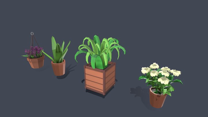 House plants 3D Model