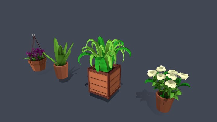 House plants 3D Model