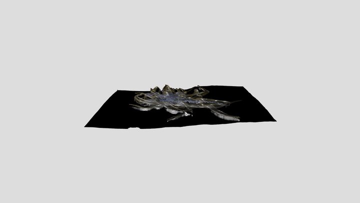 marine creature 3D Model