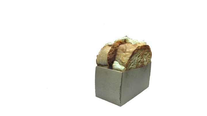 Toast_Agisoft 3D Model