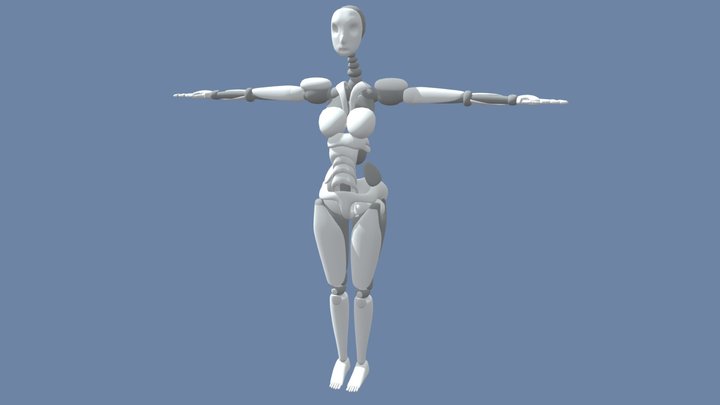 Fem Mannequin 3D Model