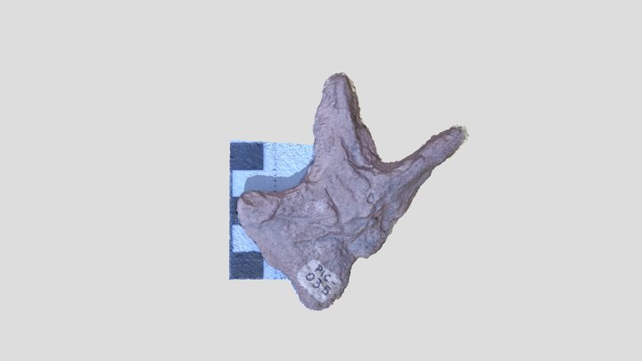 Muestra coleccion RICARDO – Modello 3D gratuito STL