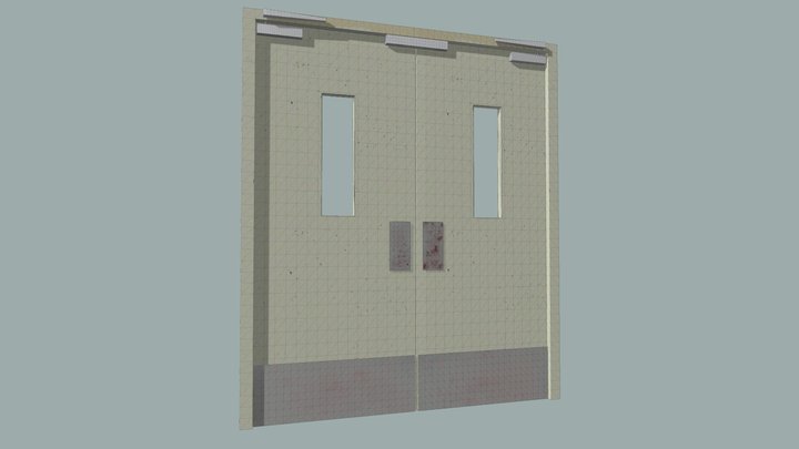 Hospital door 3D Model