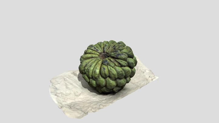 Custard apple 3D Model
