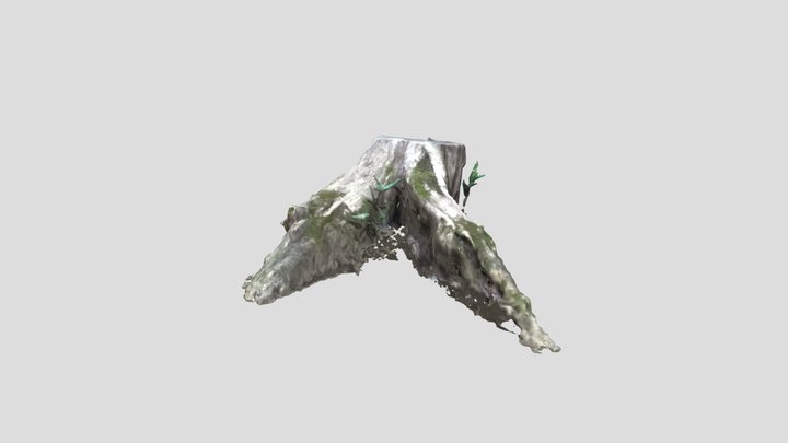 stump 3D Model