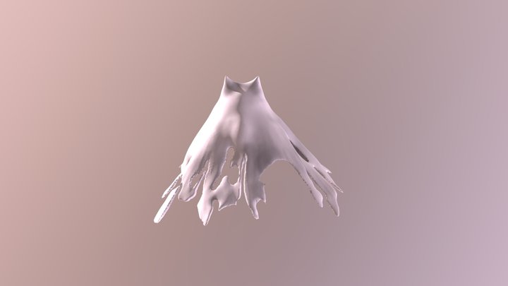 Mau 3D Model