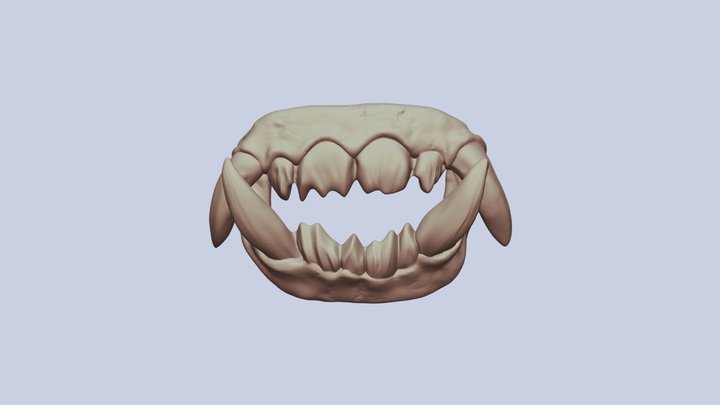 Buckle_teeths_V9 3D Model