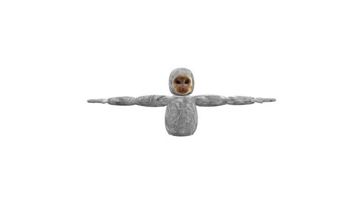 CAPUCHIN 3D Model