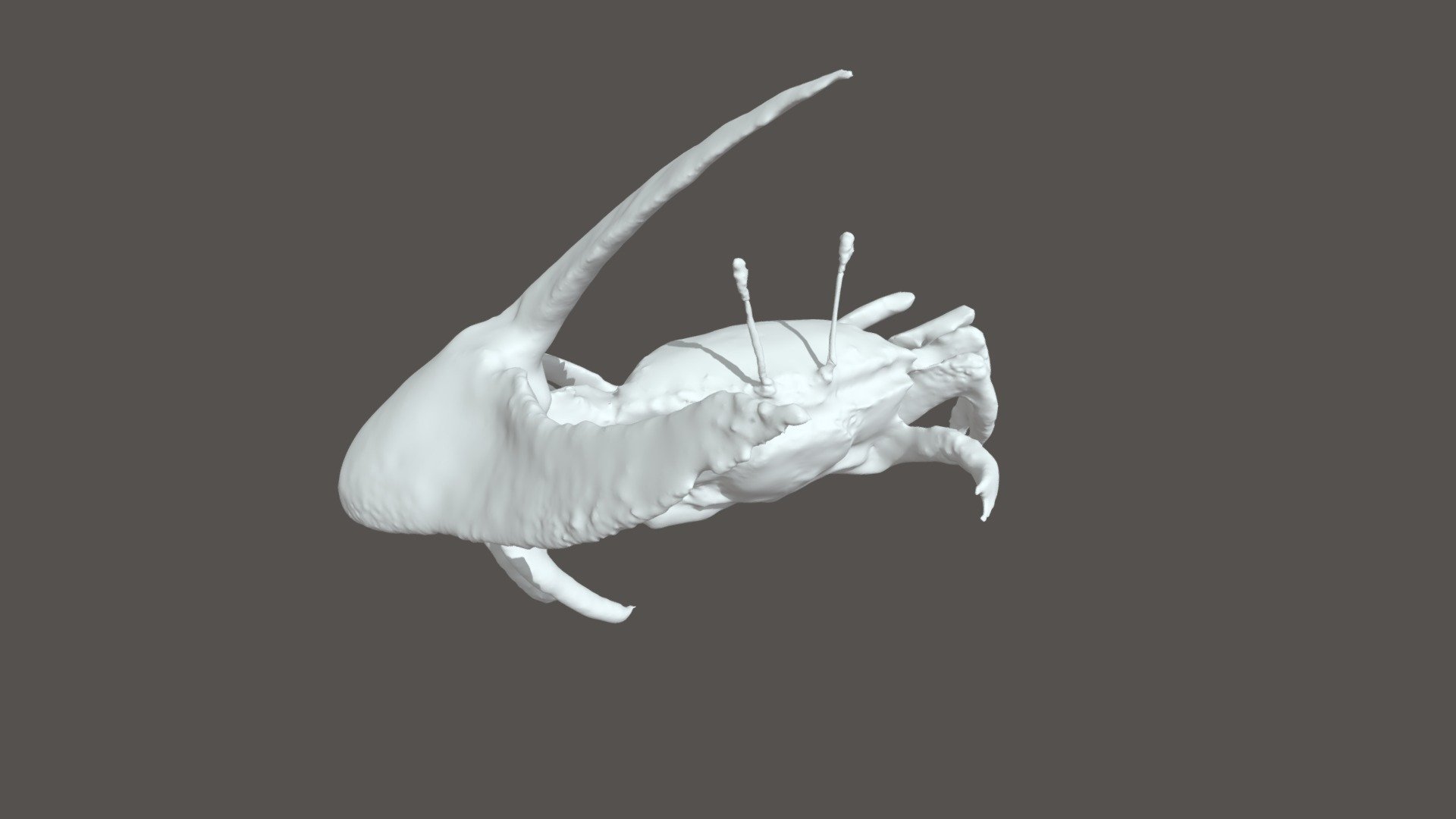 Fiddler Crab - Download Free 3d Model By Sawaporn.tipparat [8fd4c28 