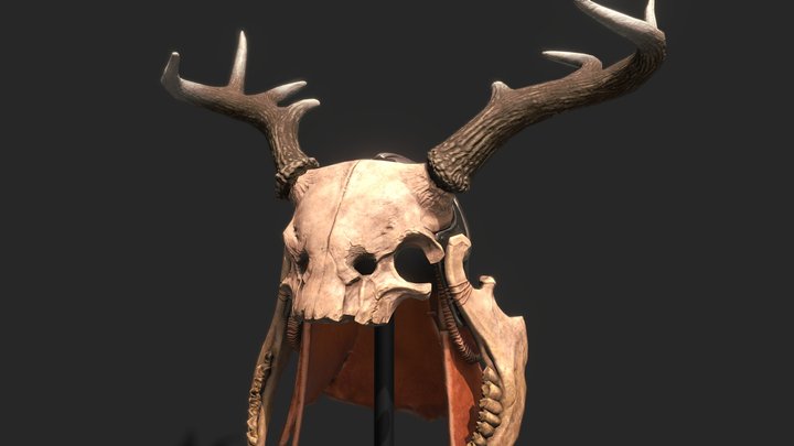 Ancient Headress 3D Model
