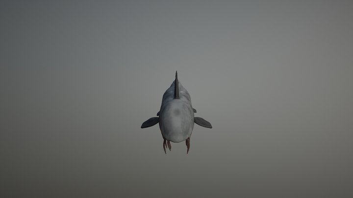Fish 3D Model