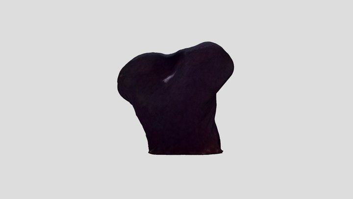 football torso 3D Model