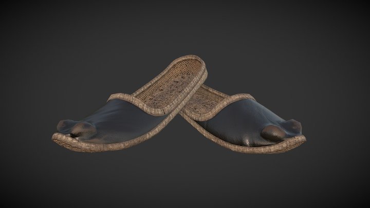 Silk Shoes 3D Model