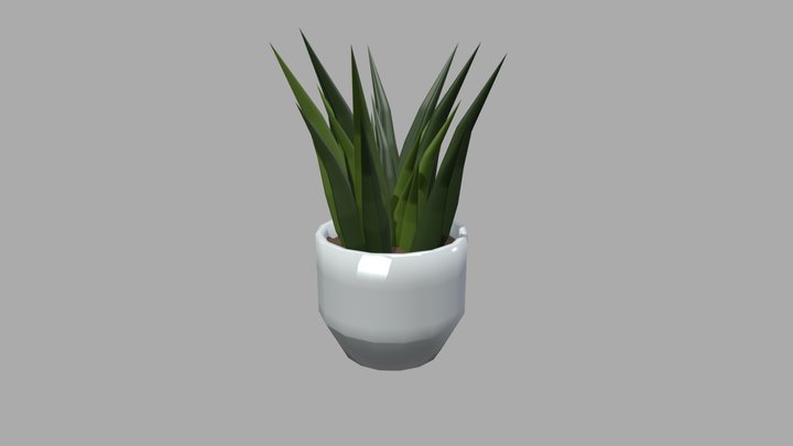 plant 3D Model