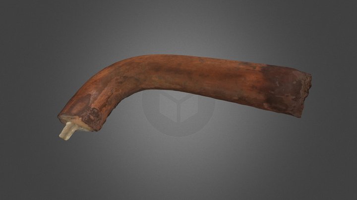 Reiner_BI 3D Model