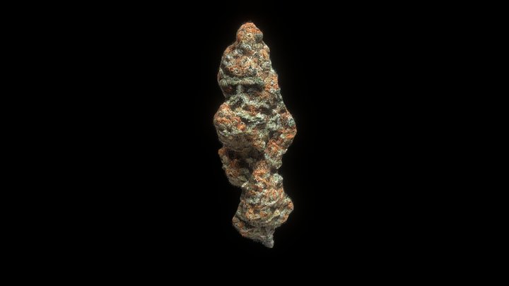 Floor Sweeper Nug 3D Model