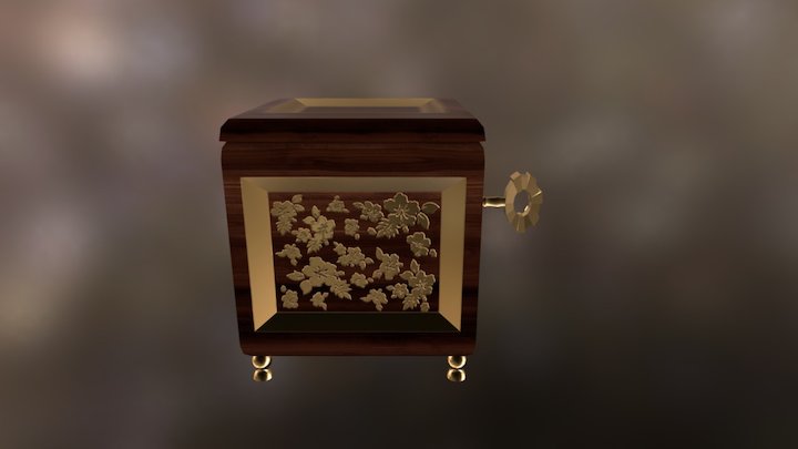 Lady Case 3D Model