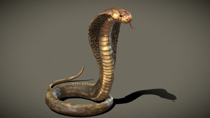 Naja Snake 3D Model
