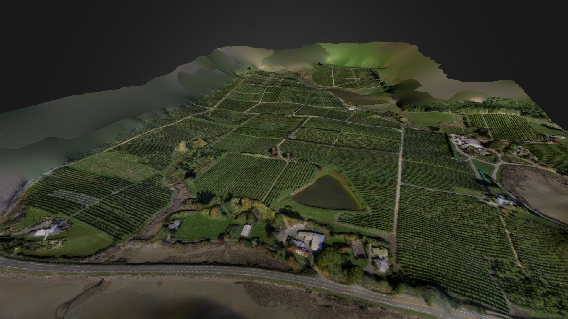 Rowling Orchard