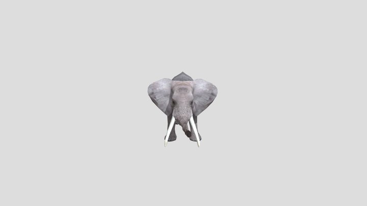 Elephant – Modello 3D gratuito STL