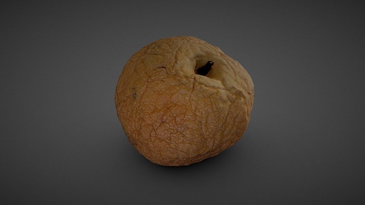 Moldy Wrinkly Asian Pear 3D Model