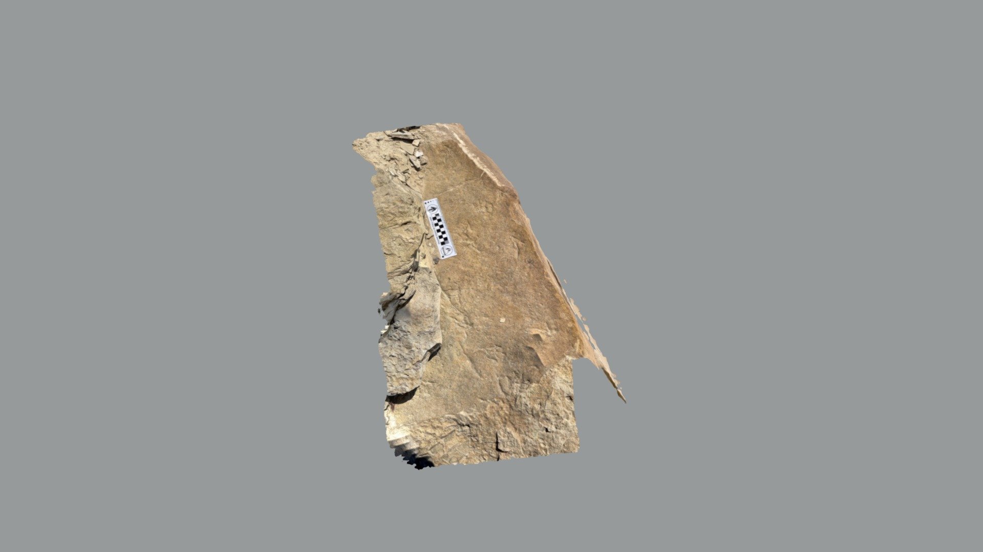Seminoe Reservoir pterosaur block