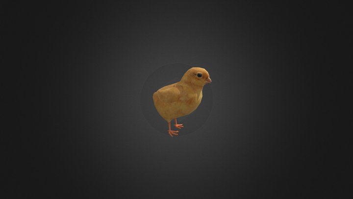 Animated Chick 3D Model
