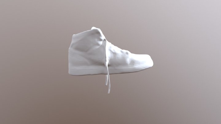 3D Scanned Shoe (2018) 3D Model