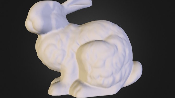 bunny.ply 3D Model