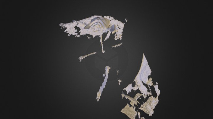 josephine.stl 3D Model