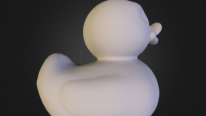 duck_triangulate 3D Model