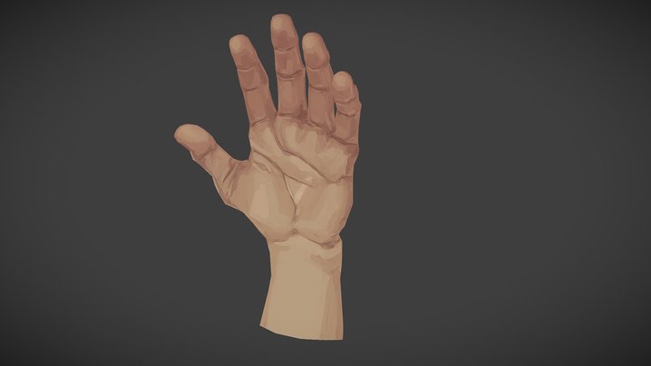 Hand Practice 3D Model