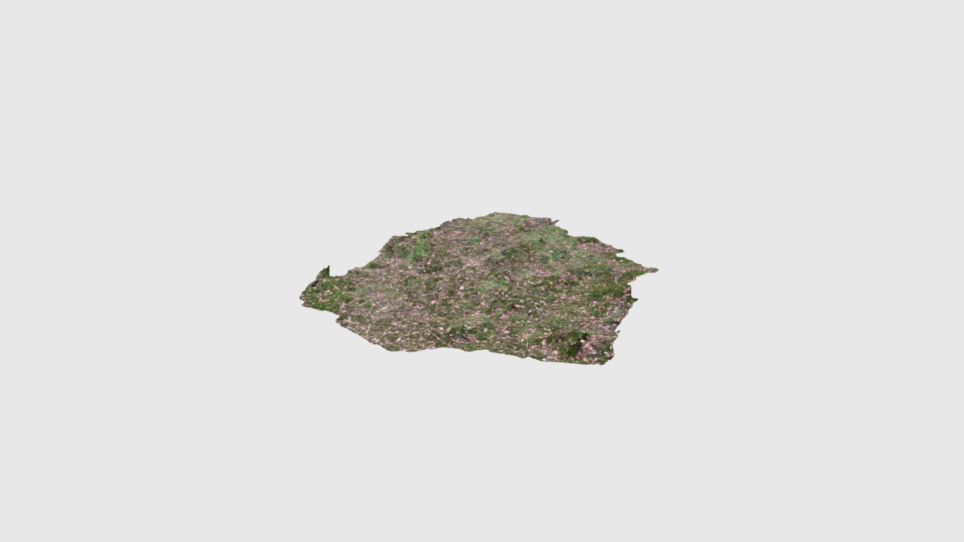 ForestfloorPatch01