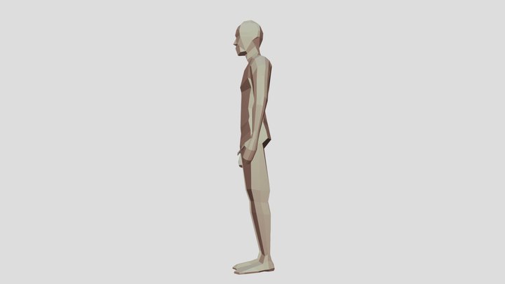Low-poly-human 3D Model
