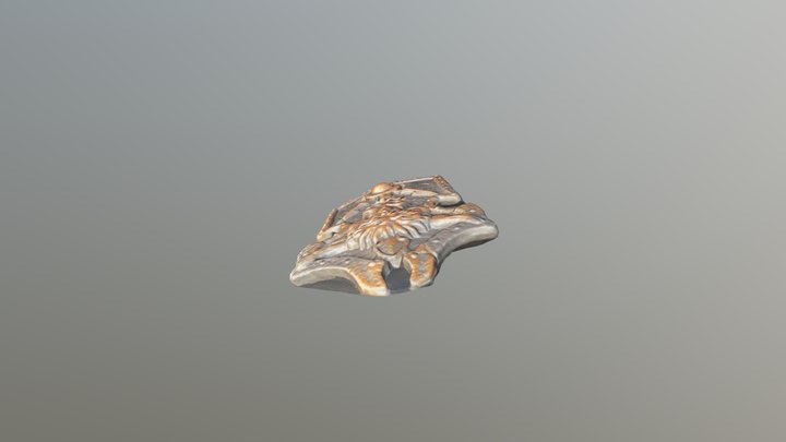 One-sided Viking Shield 3D Model