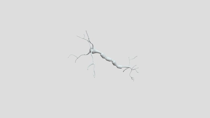 Neuron2 3D Model