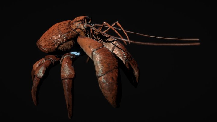 Crab 3D Model
