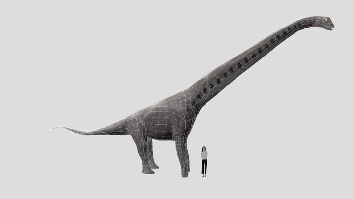 Sauroposeidon 3D Model