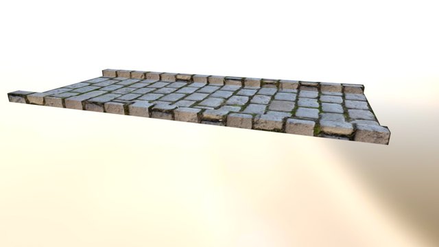 Calle Anim 3D Model