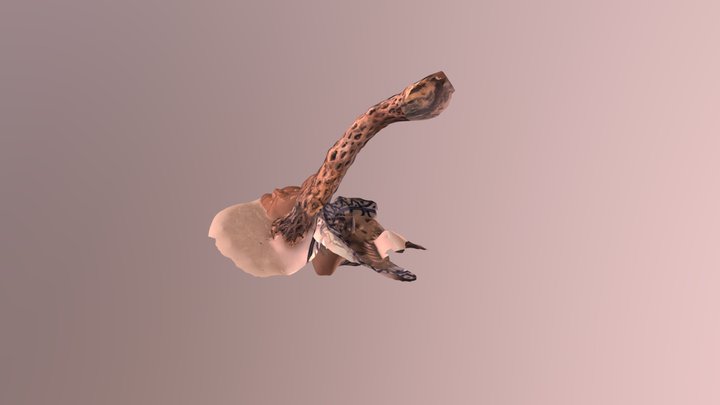 A TRNIO Model 3D Model