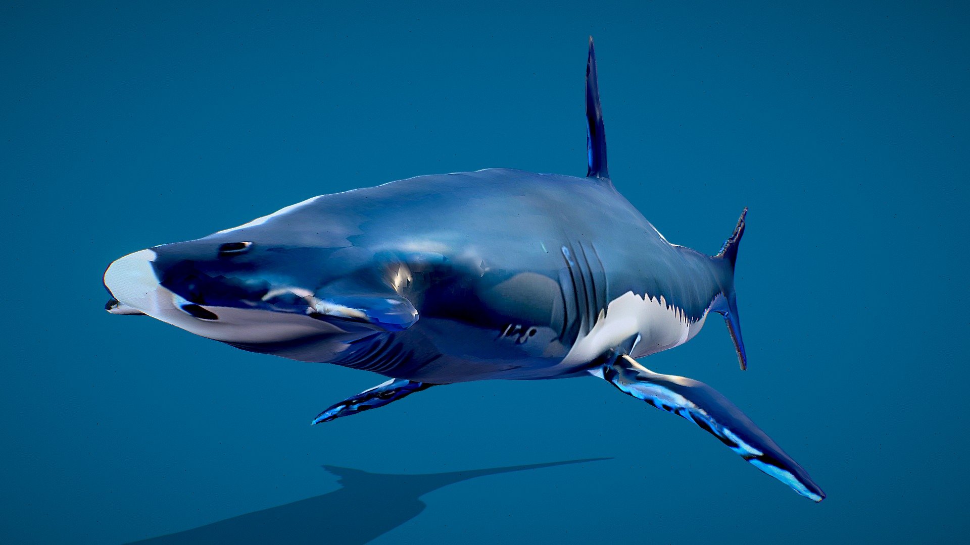 Blue Shark - Download Free 3D Model By Verticle [9017272] - Sketchfab