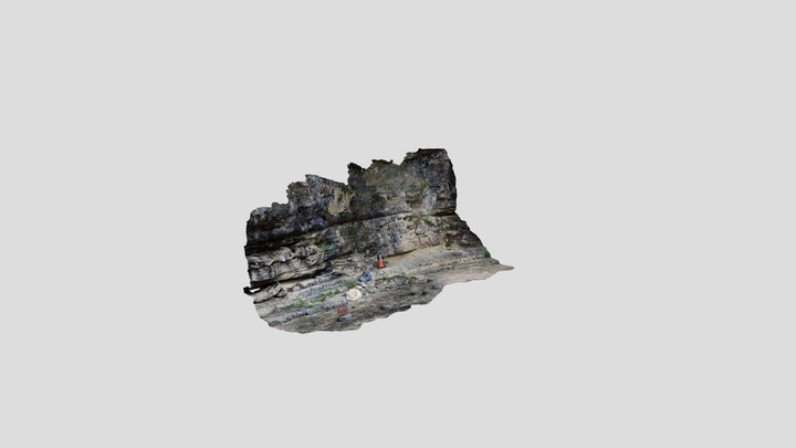 Dinosaur tracks outcrop at Government Canyon SNA 3D Model
