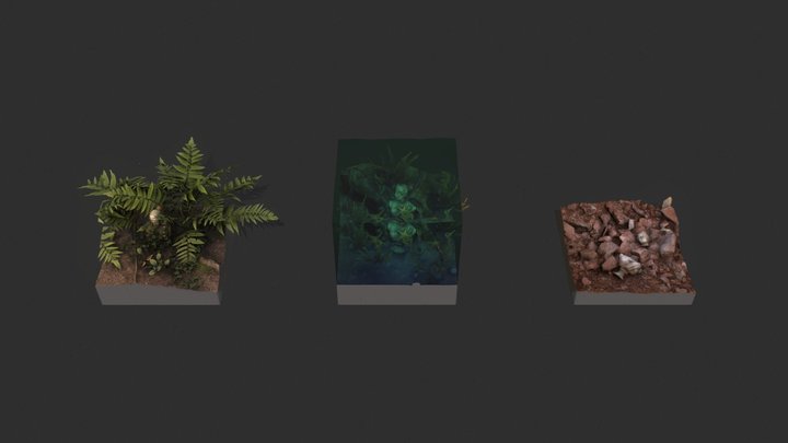 Enviroment and Time 3D Model