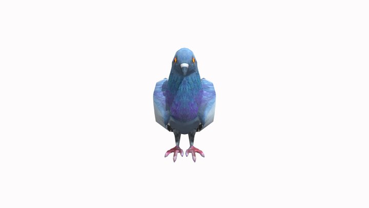 Голубь 3D Model